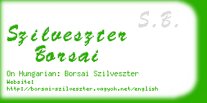 szilveszter borsai business card